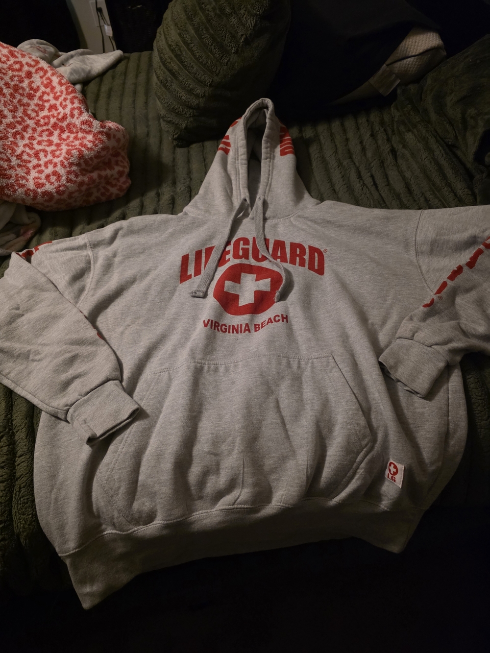 Virginia Beach Lifeguard Gray Hoodie Sweatshirt